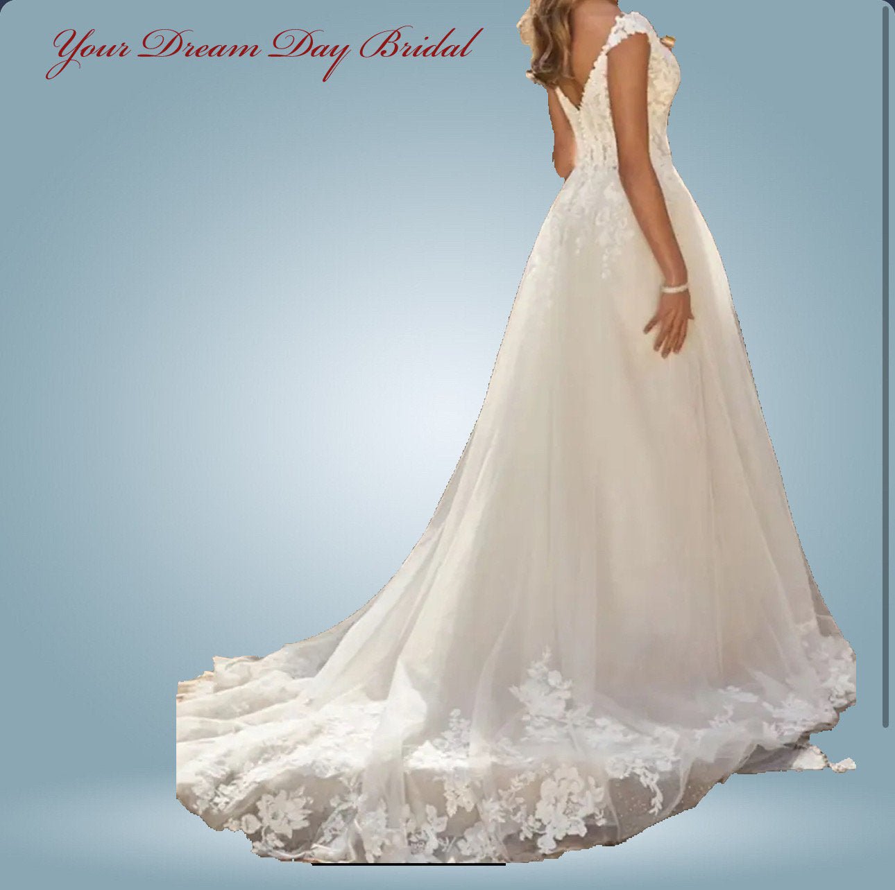 Deep - V A - Line Sleeveless Organza & Tulle Wedding Gown with Court Length Train - Your Dream Day Bridal