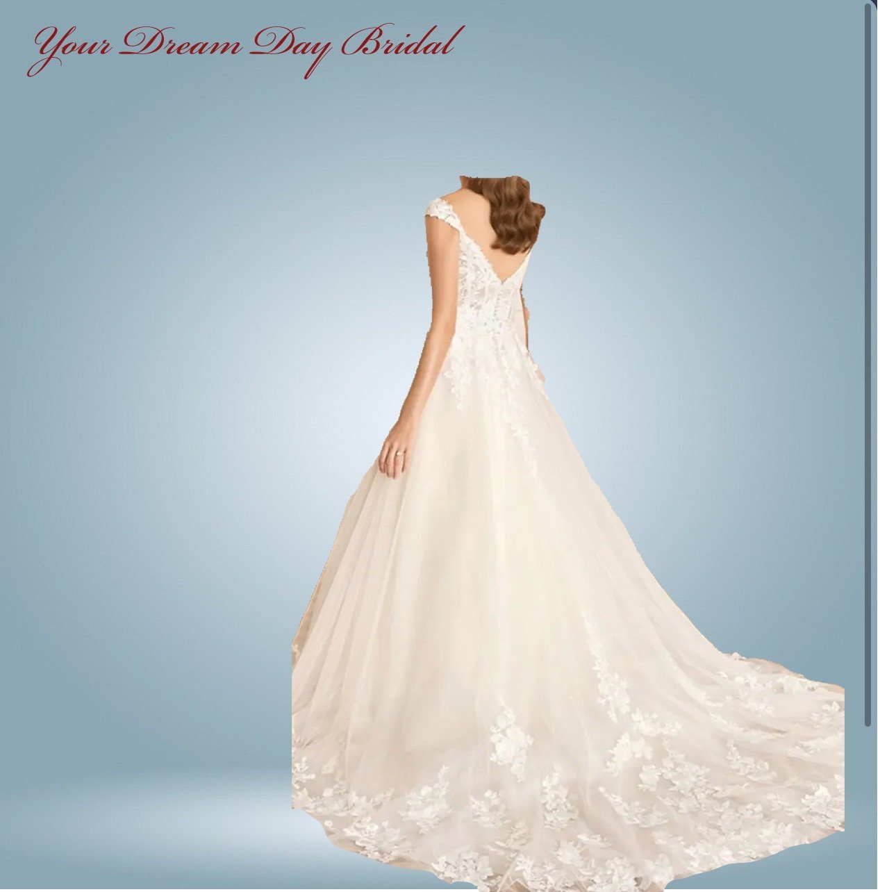 Deep - V A - Line Sleeveless Organza & Tulle Wedding Gown with Court Length Train - Your Dream Day Bridal