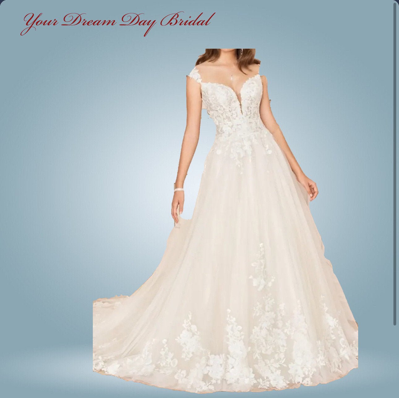 Deep - V A - Line Sleeveless Organza & Tulle Wedding Gown with Court Length Train - Your Dream Day Bridal